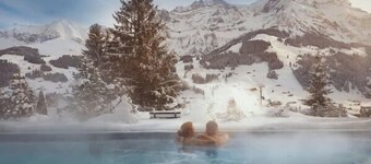 Mountain View Studio Adelboden|Gondola & Spa