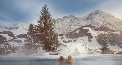 Mountain View Studio Adelboden|Gondola & Spa