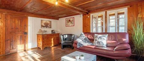 Fernseher, Kamin, Bücher, Arbeitsbereiche