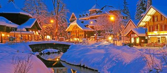 Authentic Swiss Farm Stay in the Alps | Fireplace