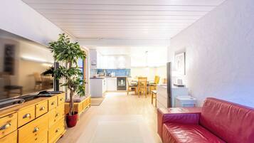 Télévision, cheminée, livres