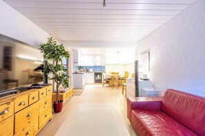 TV, fireplace, books