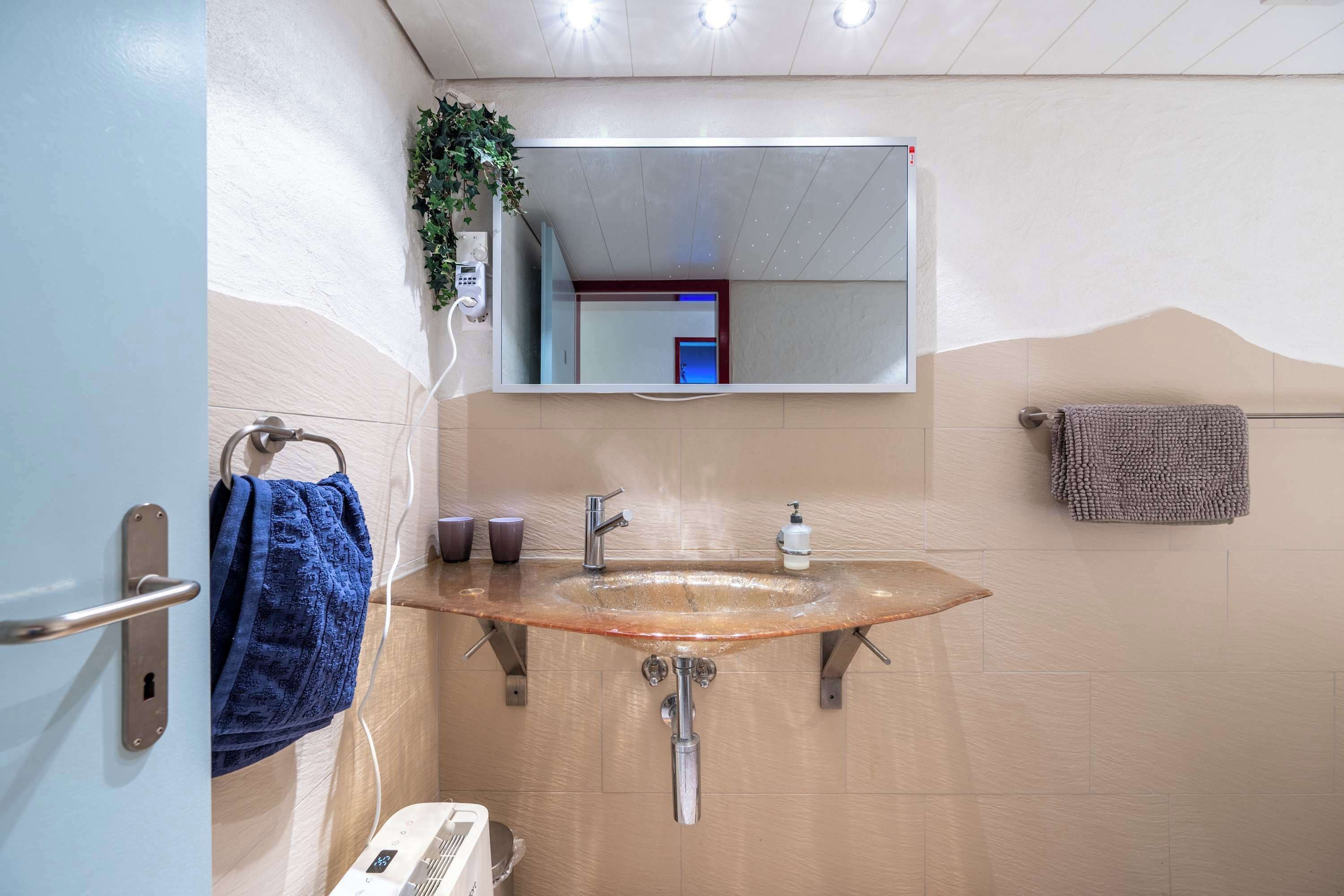 Een badkamer met een glazen wastafel, een handdoekhouder, een spiegel en een plant.