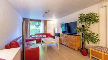 Télévision, cheminée