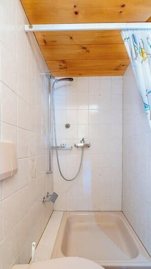 Shower, hair dryer, towels, shampoo - Lake and Mountain View Chalet,Fireplace and Garden (Axalp)