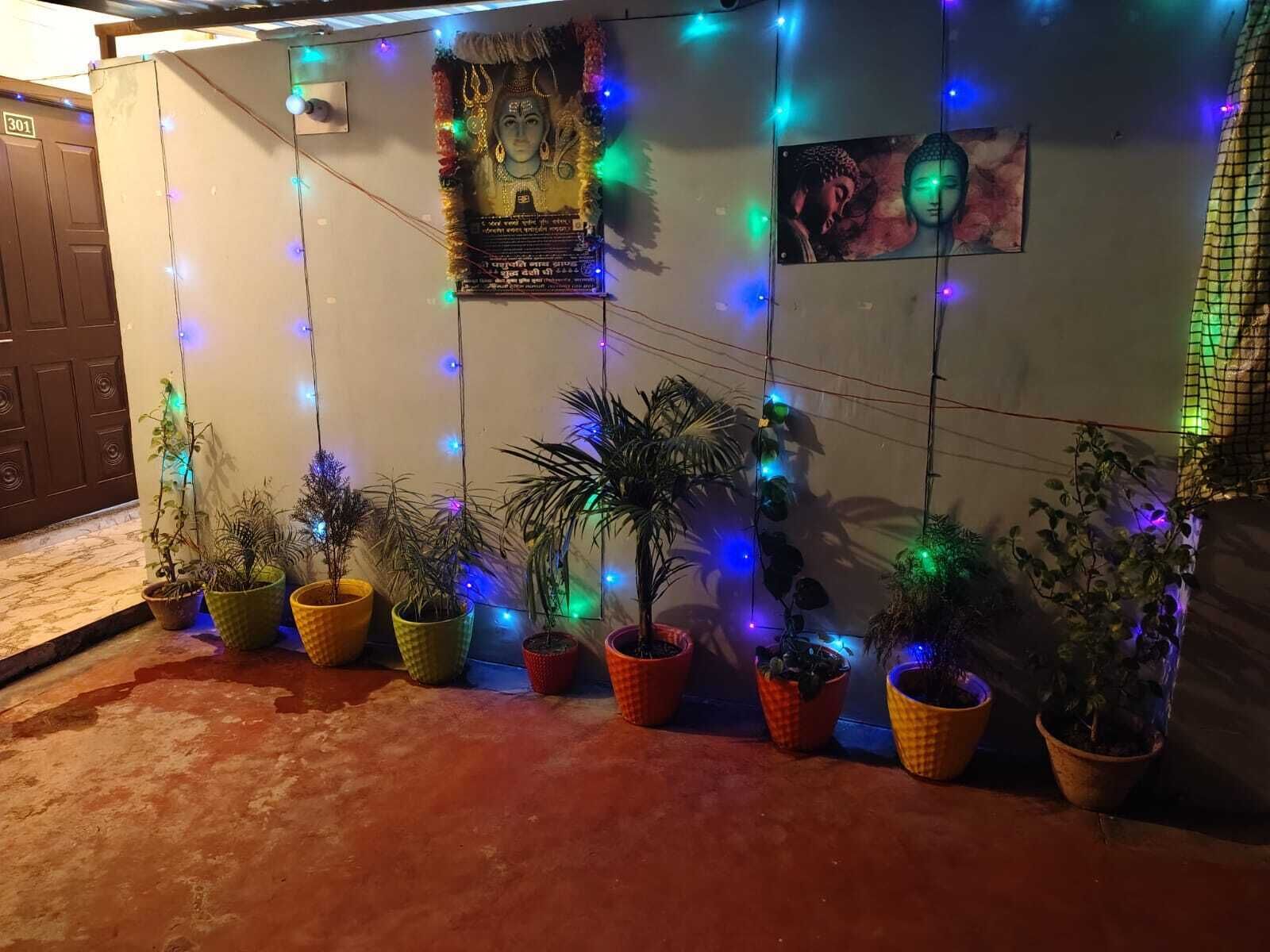 A room with a white wall decorated with colorful string lights and religious posters. There are several potted plants arranged along the wall.