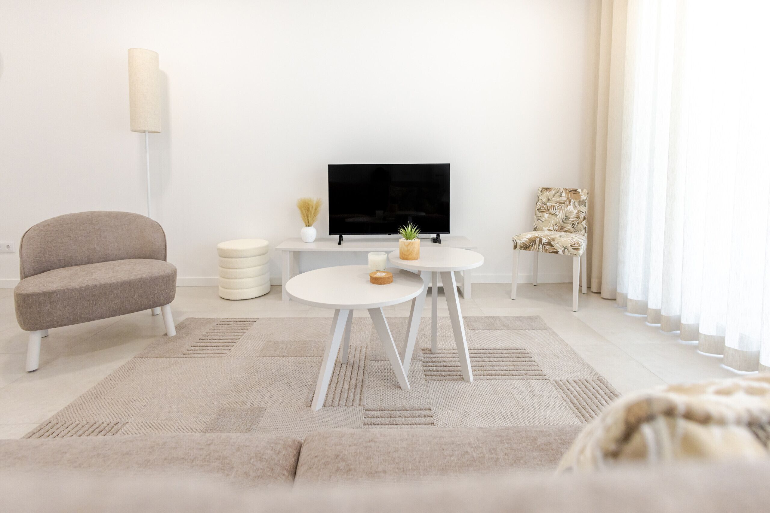 Ein modernes Wohnzimmer mit einer Couch, einem Fernseher, einem kleinen Tisch mit einer Pflanze und einem gemusterten Teppich.