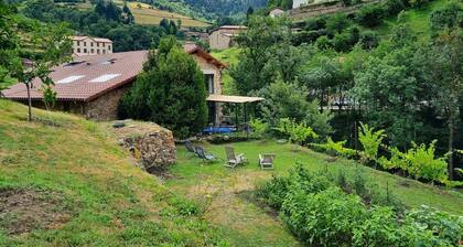 Gîte charmant avec terrasse, billard, et animaux acceptés