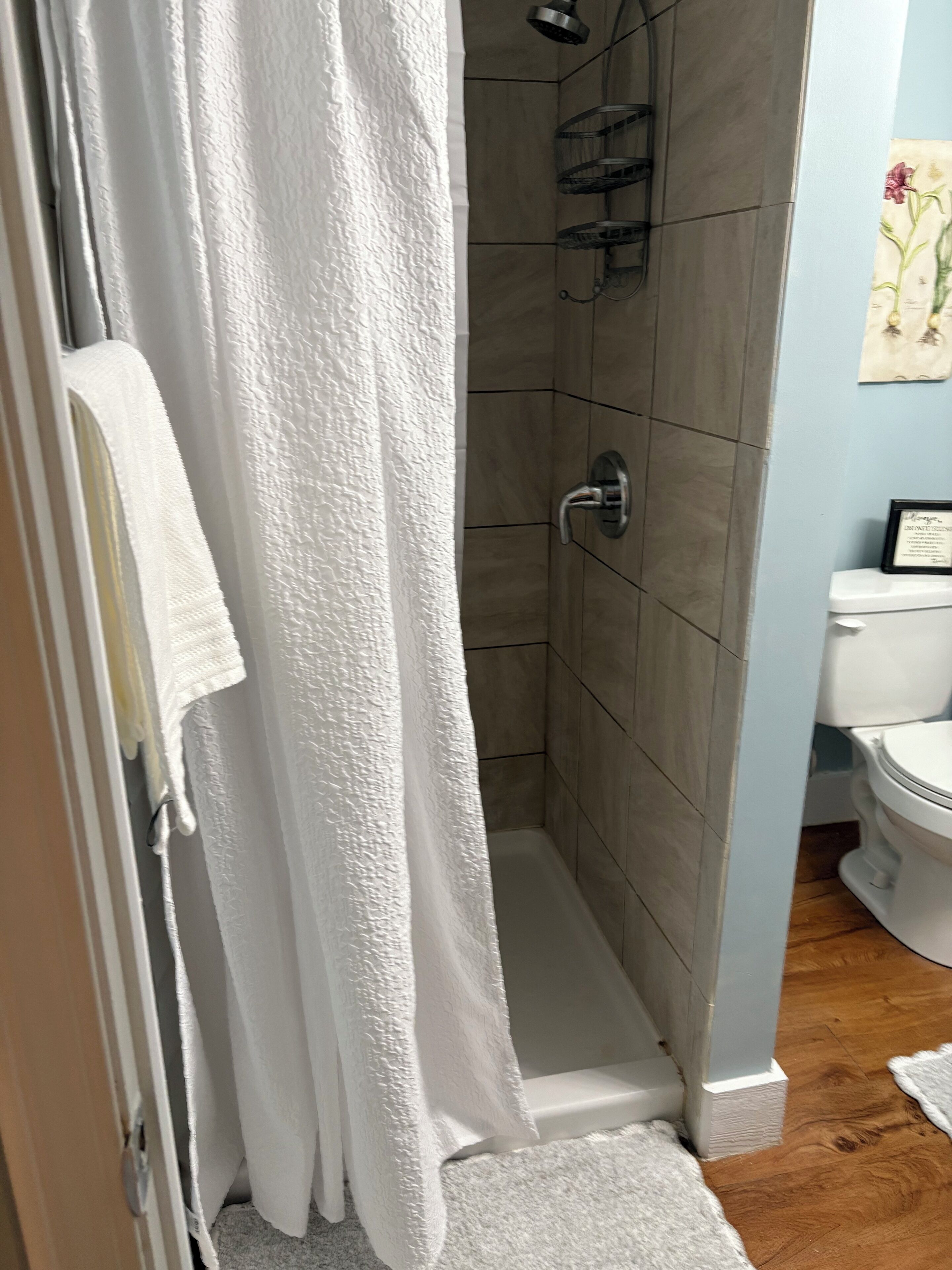 Shower, towels, soap, toilet paper