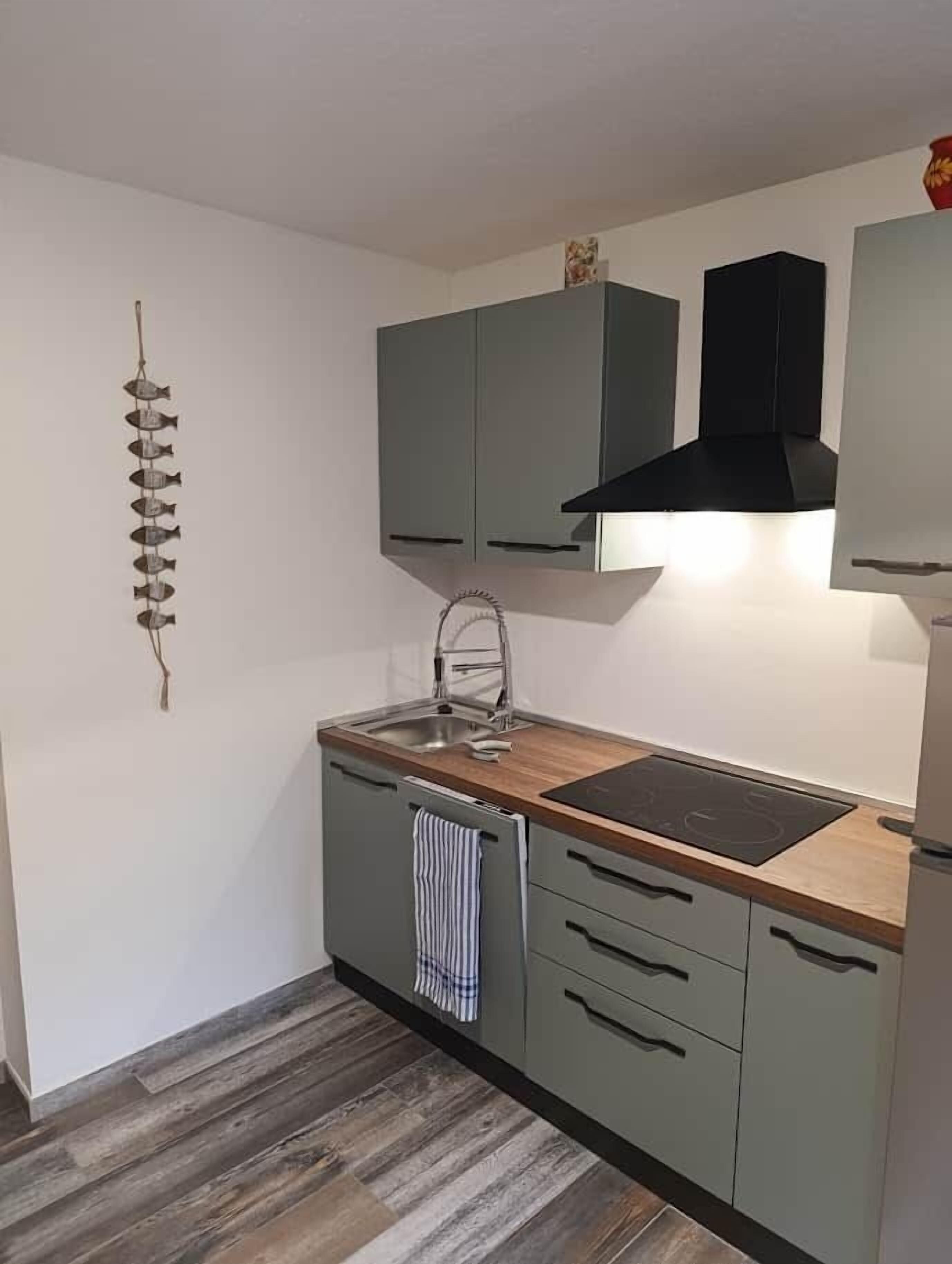 Réfrigérateur, micro-ondes, plaque de cuisson, lave-vaisselle