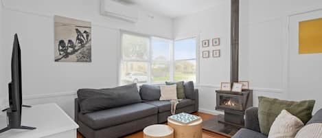 Smart TV, fireplace, books