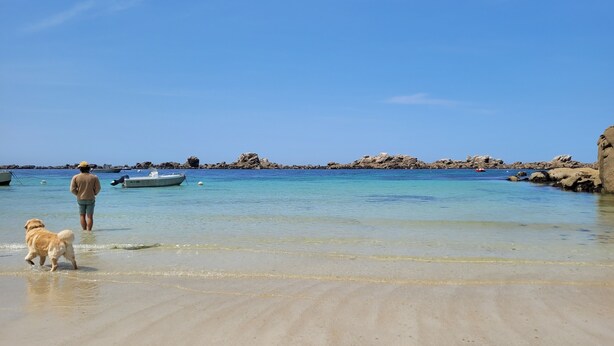 Unclassified image, 1 of 33, button - Spacious house, all comforts, beach and harbour 100 metres away (Plouescat)