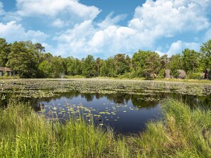 Property grounds - Bungalow in Limburg near Nature Reserves (Stramproy)