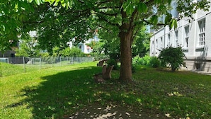 Overnattingsstedets uteområder