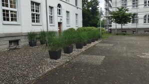 A building with multiple windows and a paved area with potted plants. - Central One-Bedroom Apartment in Konstanz (Konstanz)