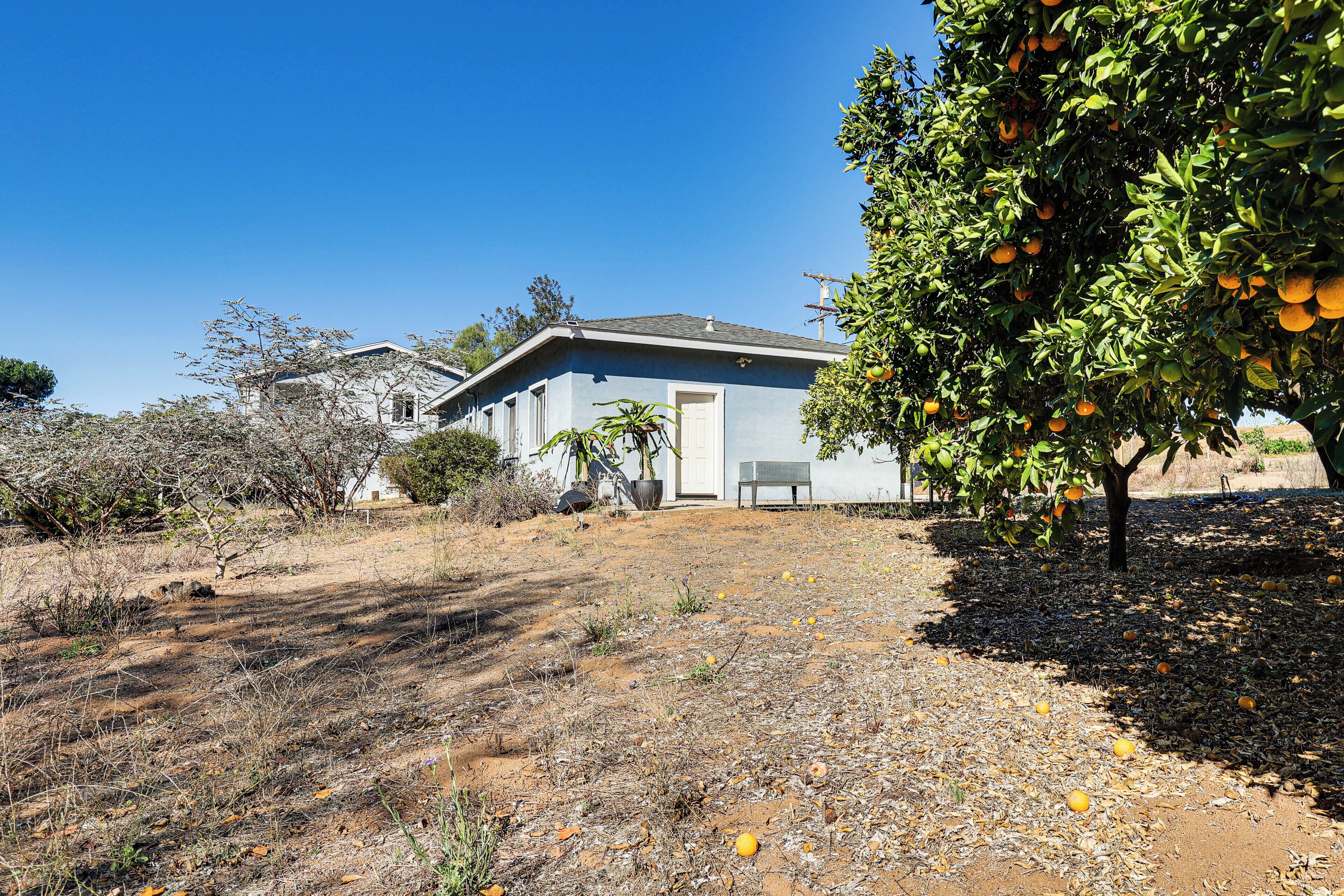 House (1 Bedroom) | Interior