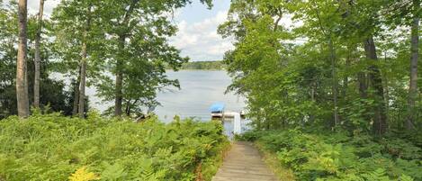 A wooden pathway leading to a body of water, surrounded by dense green foliage.