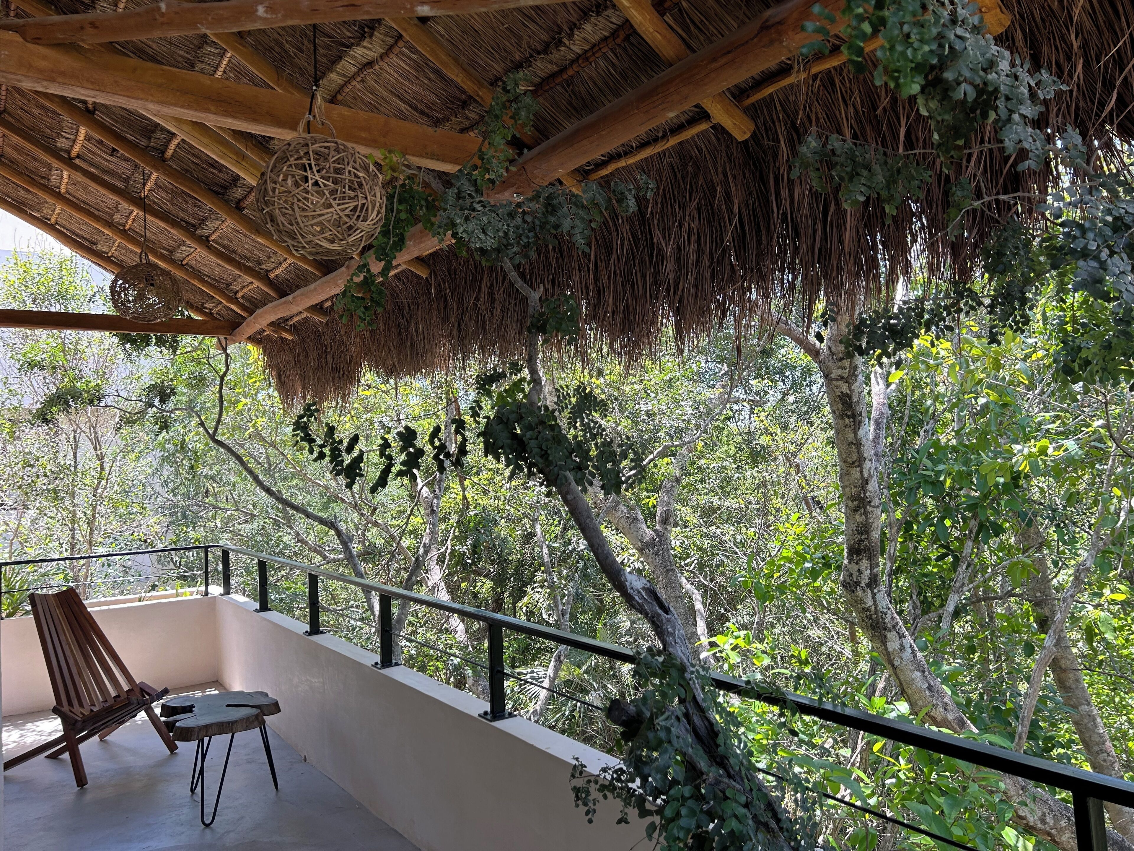 Departamento Confort, 2 habitaciones, alberca privada, vista al jardín | Terraza o patio