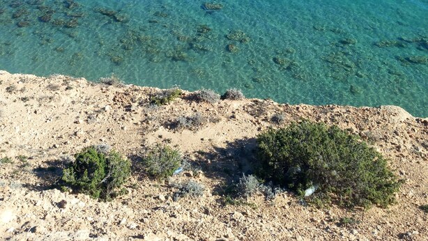Paisaje costero con mar azul cristalino, terreno rocoso y vegetación escasa.
