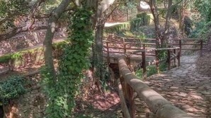 A stone pathway leading through a wooded area with a wooden fence and a bridge. - Casa Julieta (Viver)