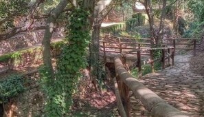 Property grounds - Casa Julieta (Viver)