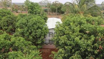 Vista des de l'allotjament