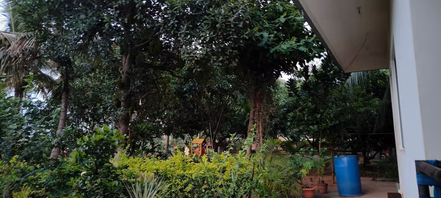 Parco della struttura