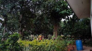 Parco della struttura