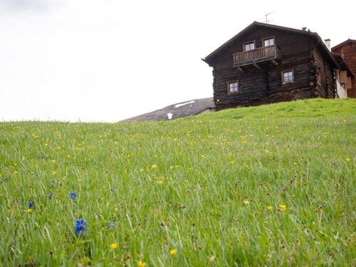 Ferienwohnung 'Bait Nof - Trepalle' mit Bergblick und WLAN