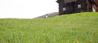 Appartement 'Bait Nof - Trepalle' met bergzicht en Wi-Fi