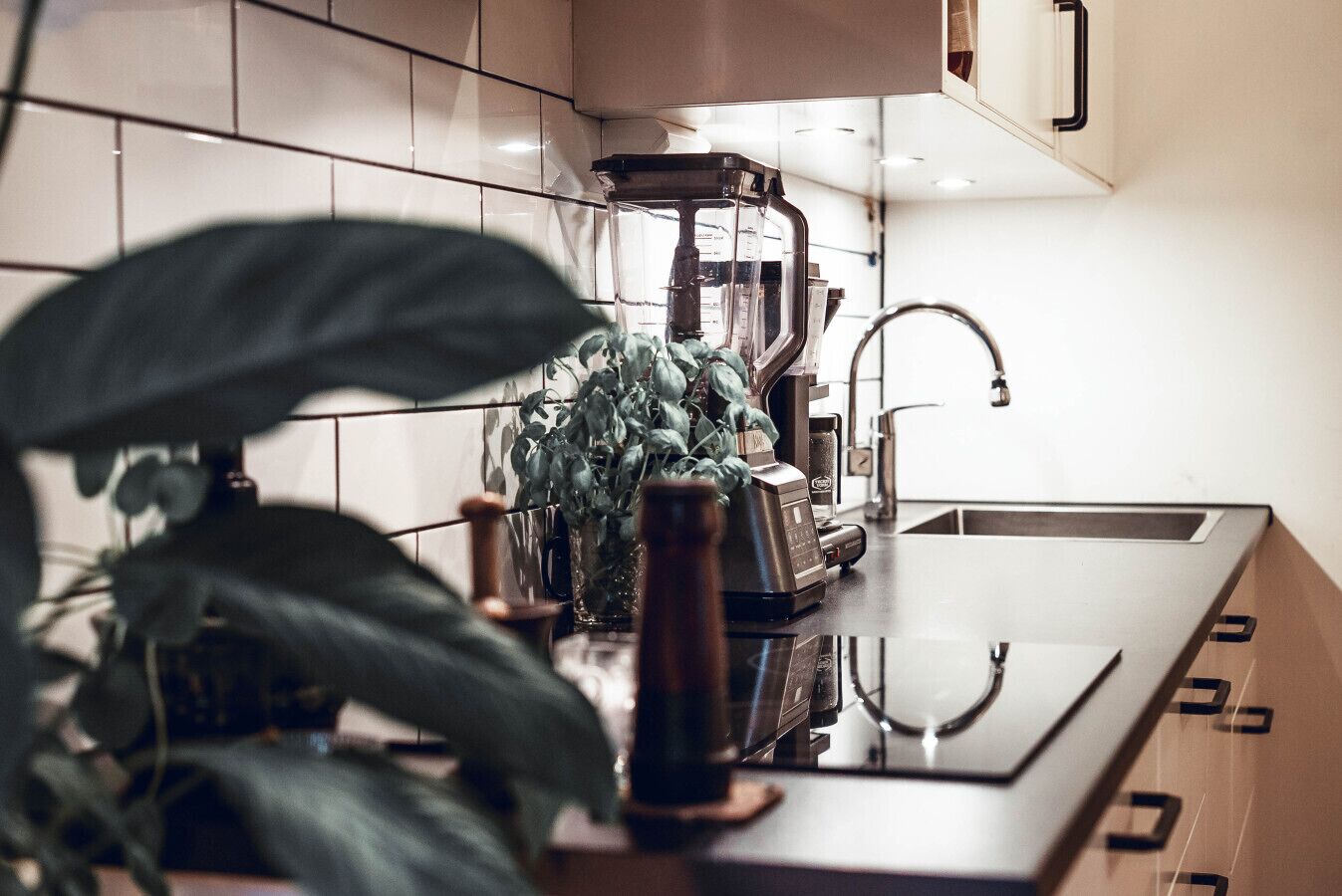 Refrigerador, placa de cocina, lavavajillas, cafetera/tetera