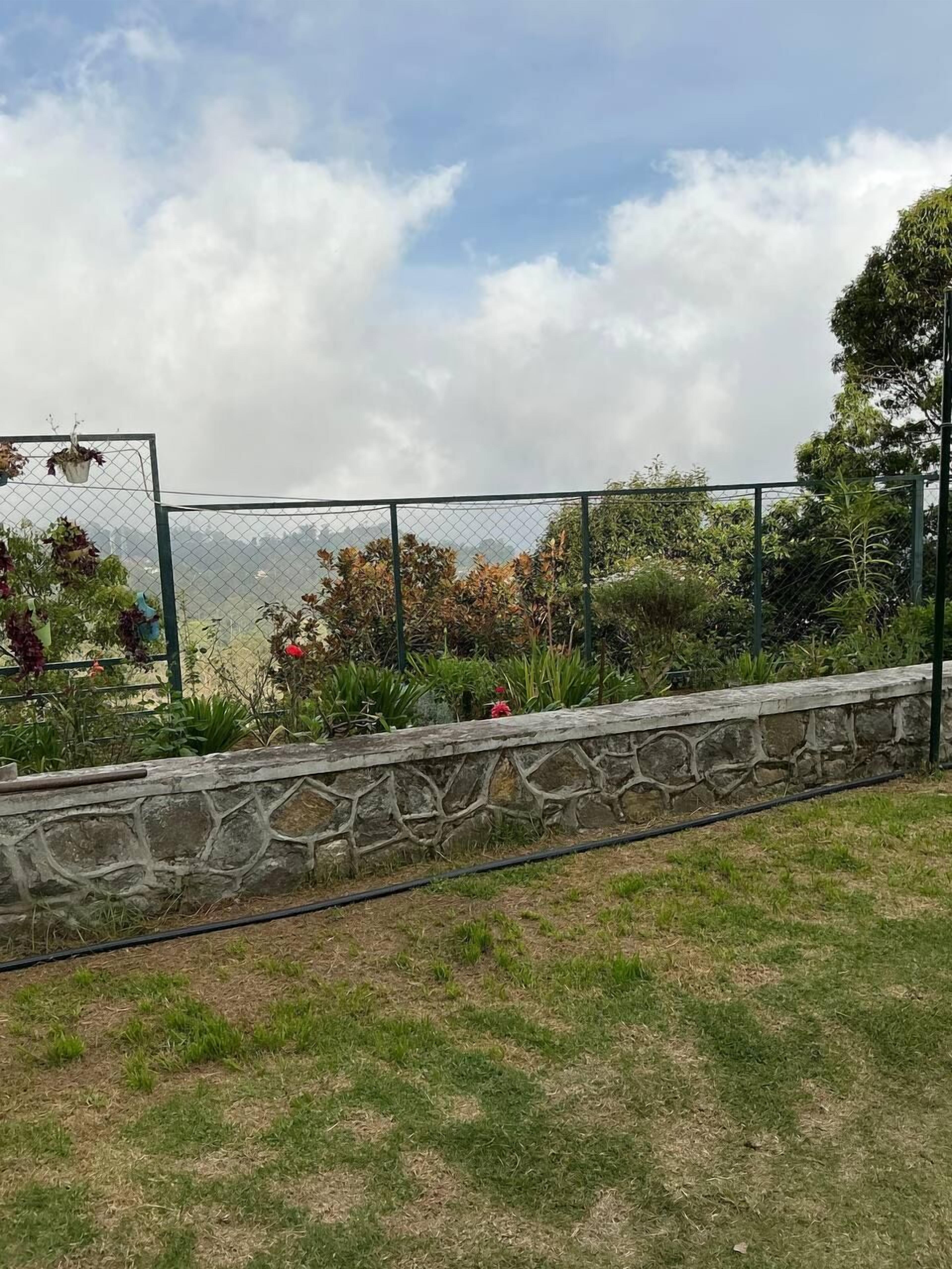 A stone retaining wall with a metal fence and potted plants.