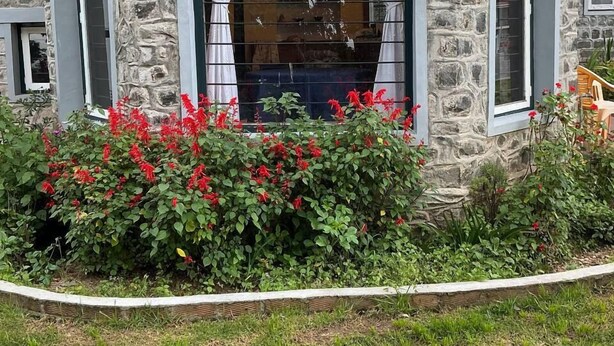 A stone building with a large arched window and a garden with red flowers. - Whispering Palms Kodaikanal (Kodaikanal)