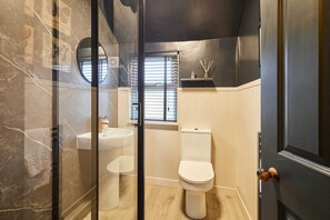 Shower, hair dryer, towels