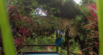 Unique Design and Cozy Property