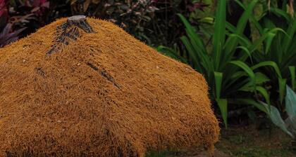 Unique Design and Cozy Property