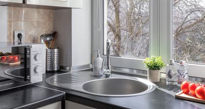 Apartment near Komarovsky Market