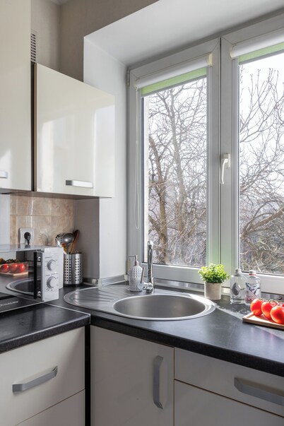 Apartment near Komarovsky Market