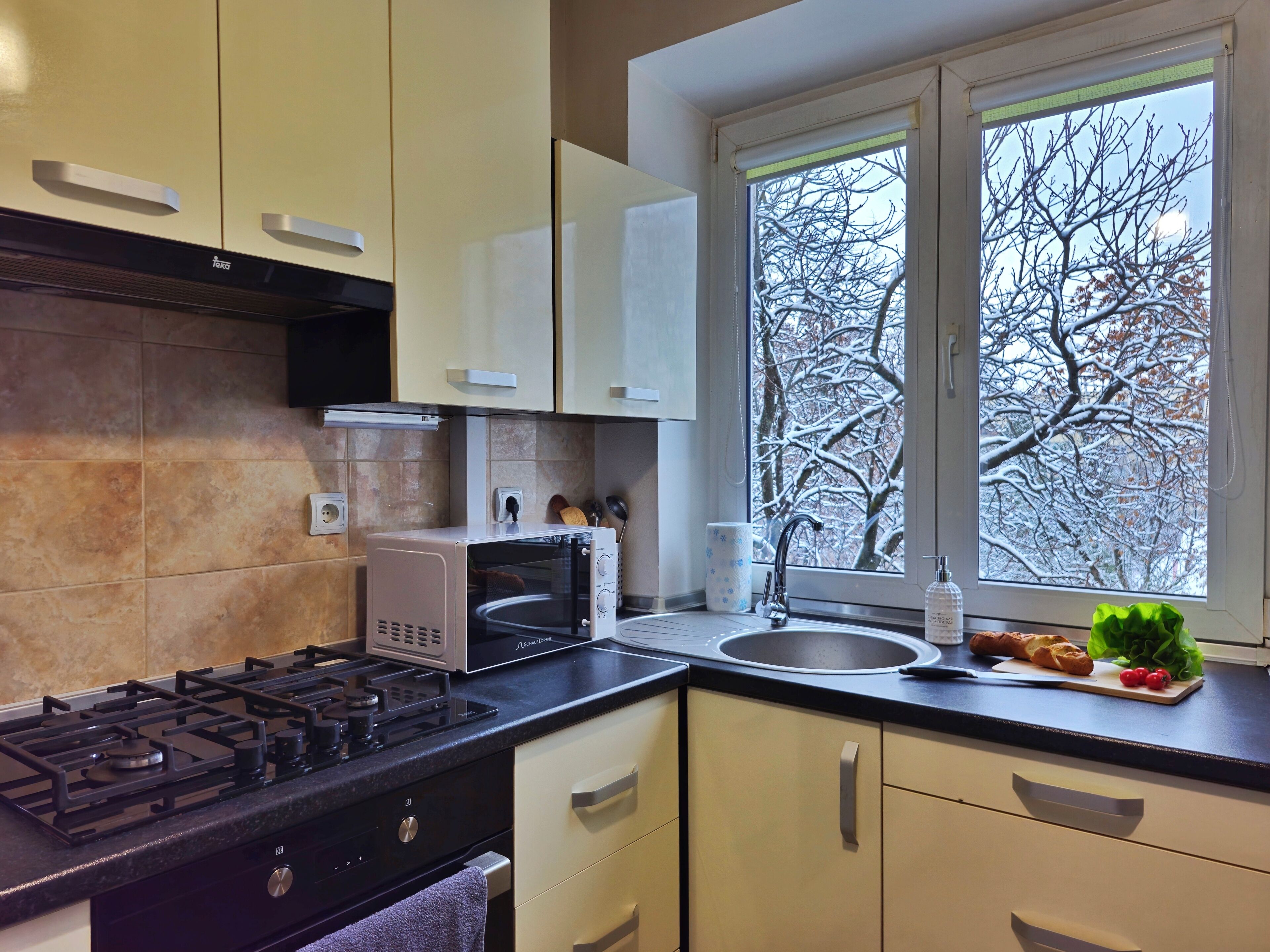 经典公寓, 阳台, 庭院景观 | 私人厨房 | 电热水壶