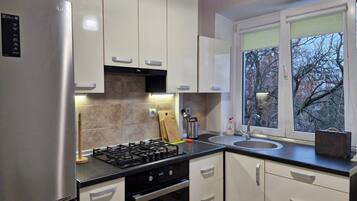 Classic Apartment, Balcony, Courtyard View | Private kitchen