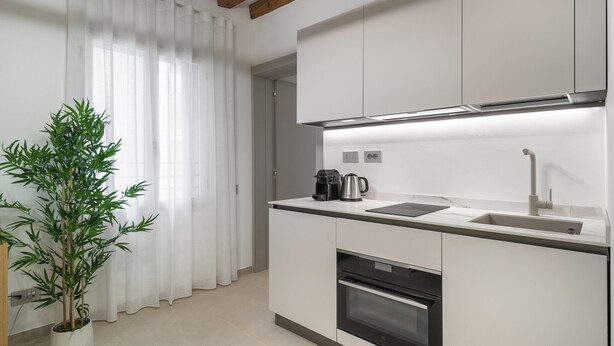 A modern kitchen with white cabinets, a built-in oven, a coffee maker, and a potted plant. - Palace Of The Elect Blue Apartment R&R (Venecia)