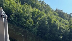 Et udendørs siddeområde med bord og stole, omgivet af grøn vegetation og et hegn.