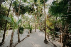 Property grounds - Stylish Condo w/ Pools & Gym in Prime Location (Tulum)
