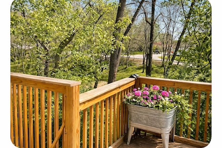 Property grounds. Cute Cottage/Pet Friendly/Clean/Trails/ Nature and Historic Madison