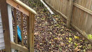 A backyard with a wooden fence, a leaf-covered ground, and a blue object partially visible.