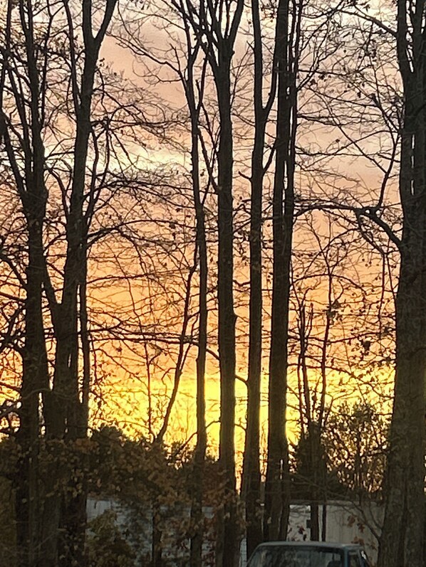 Miscellaneous - Cute Cottage/Pet Friendly/Clean/Trails/ Nature and Historic Madison (Madison)