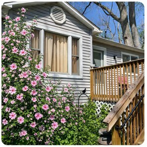 Exterior detail - Cute Cottage/Pet Friendly/Clean/Trails/ Nature and Historic Madison (Madison)