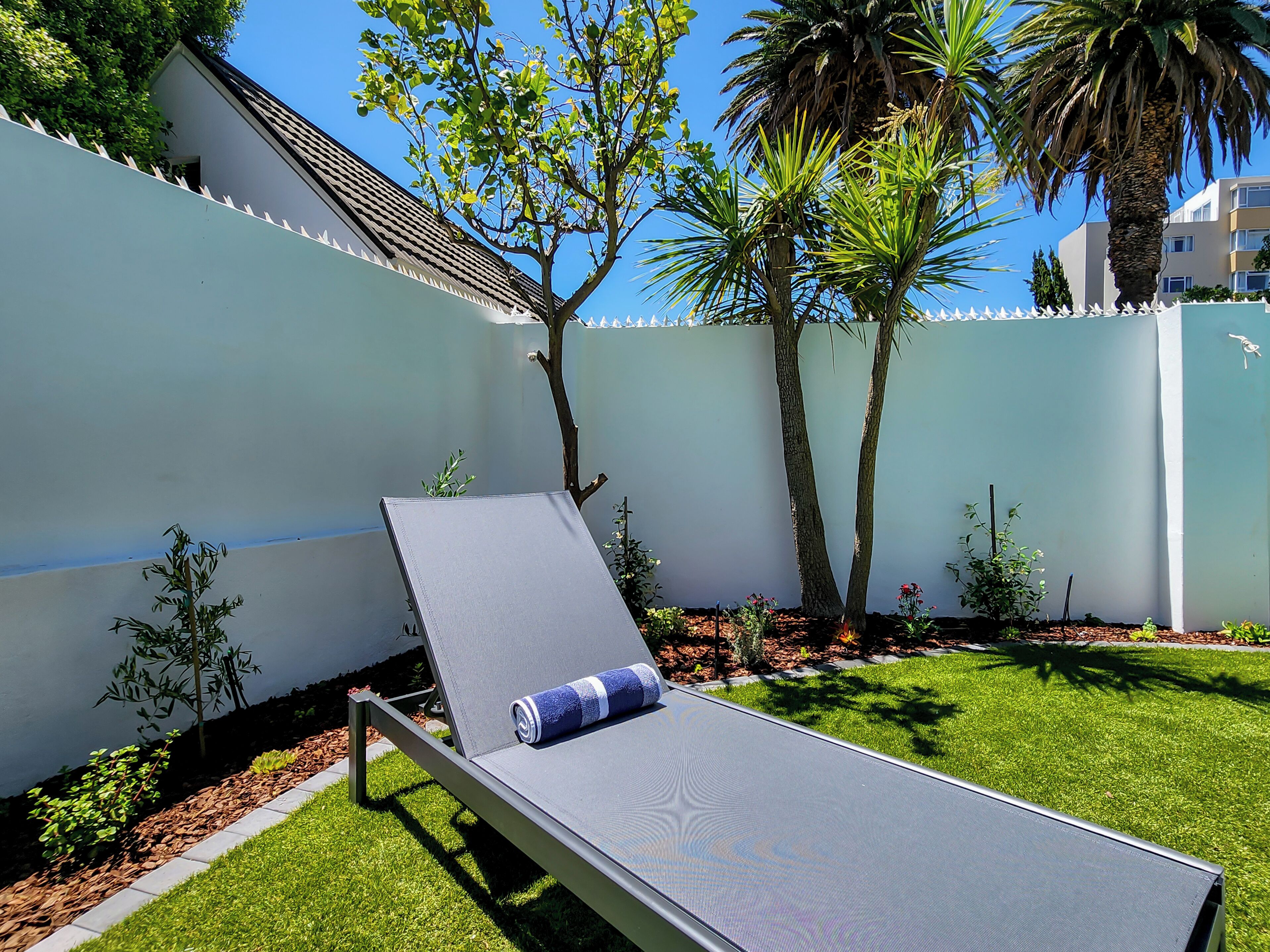 A sunlit outdoor area with a lounge chair, a small tree, and a white wall.