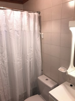 Hair dryer, bidet, towels