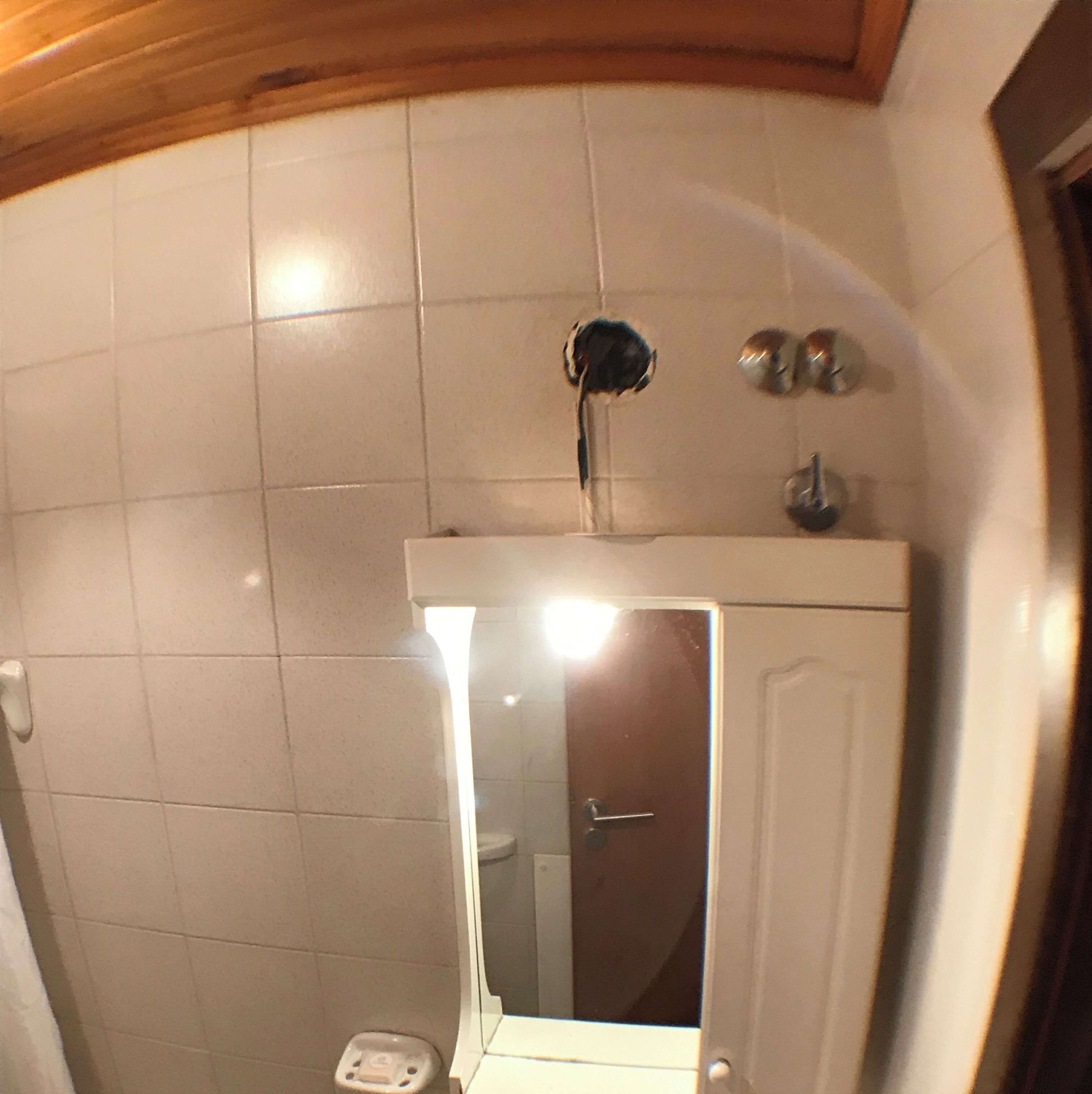 Hair dryer, bidet, towels